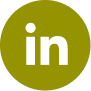 LinkedIn icon